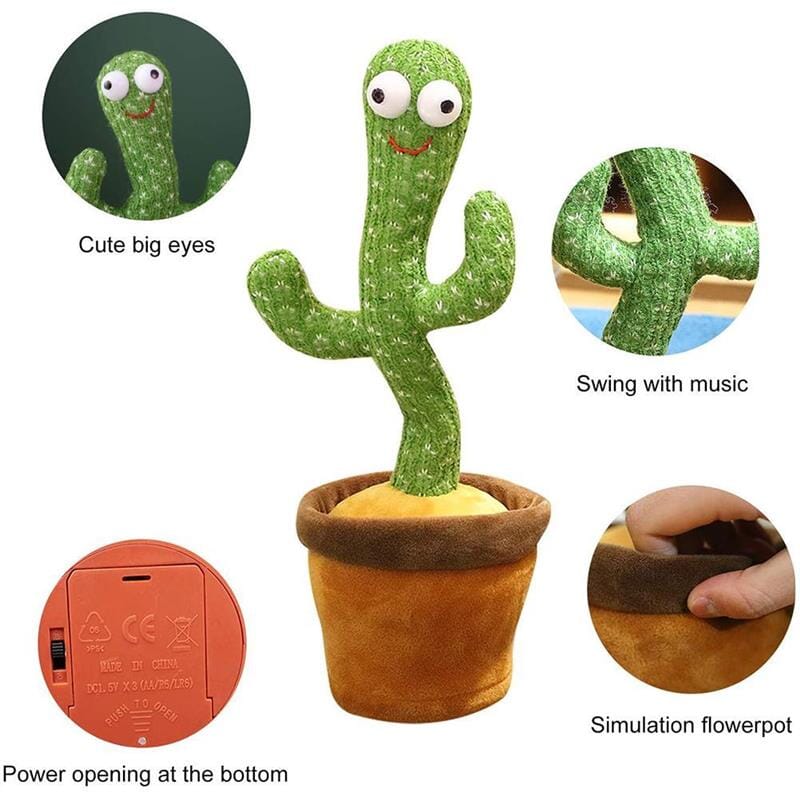 Learn & Laugh Cactus